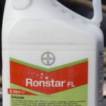 Ronstar1
