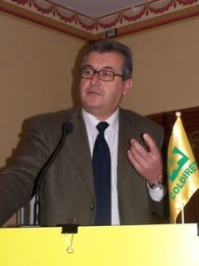 tonello 2008