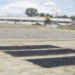 biochar