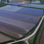 SOMMERSIONE-RISAIA-ACQUA-IRRIGAZIONI