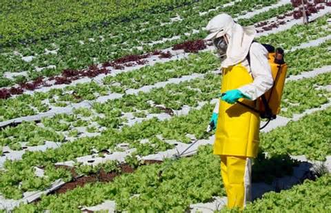 UN METODO MONDIALE PER STUDIARE GLI EFFETTI DEI PESTICIDI