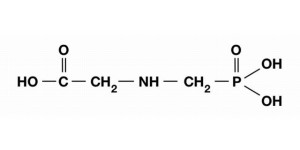 glifosate1