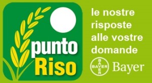PUNTO RISO