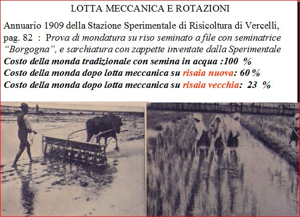 articolo 1