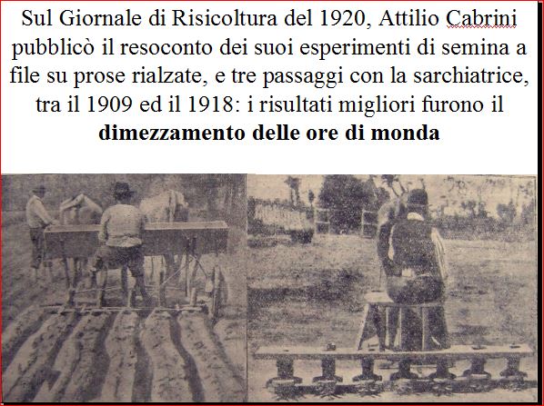 articolo 2