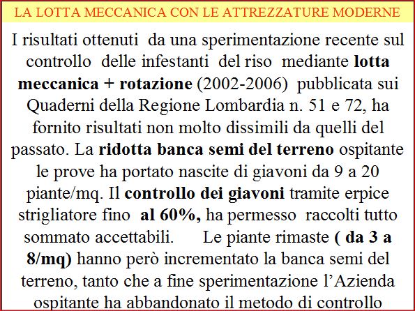 articolo 3