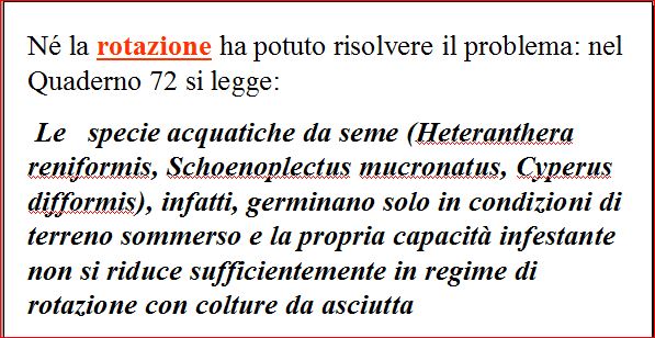 articolo 4
