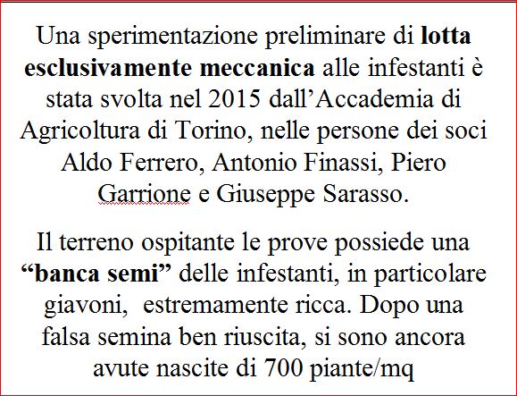 articolo 5
