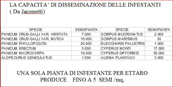 jac1