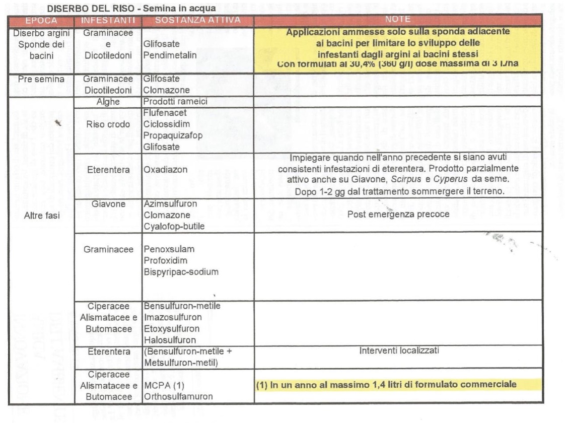 DISE1