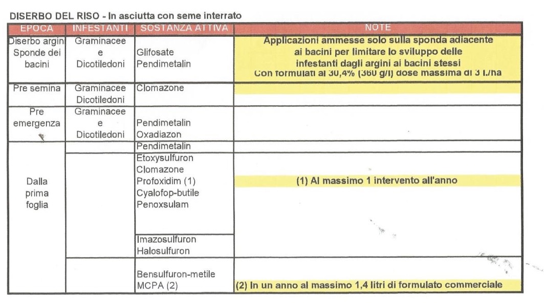 DISE2
