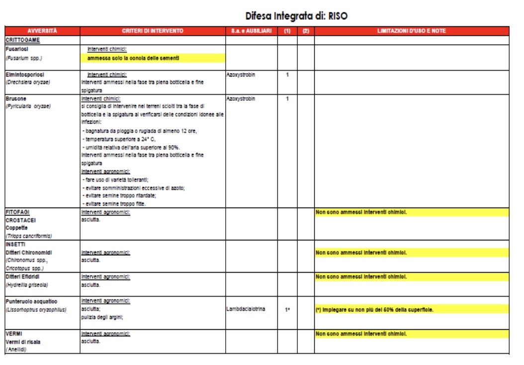 DISE3