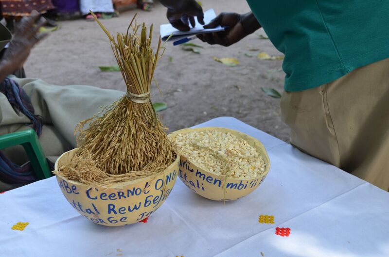 ITALIANI IN MISSIONE IN SENEGAL