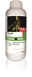 TUAREG1