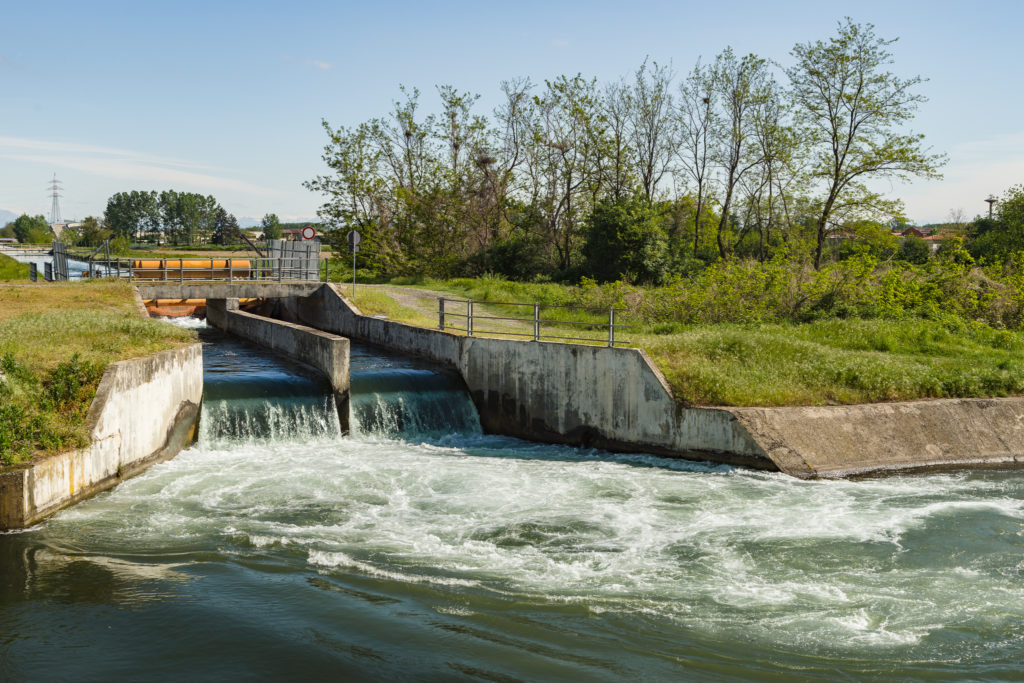 _dsc2015