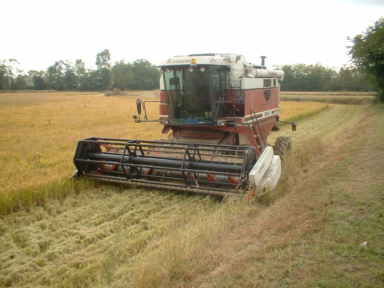 RESPINTE TRE DOMANDE SU QUATTRO