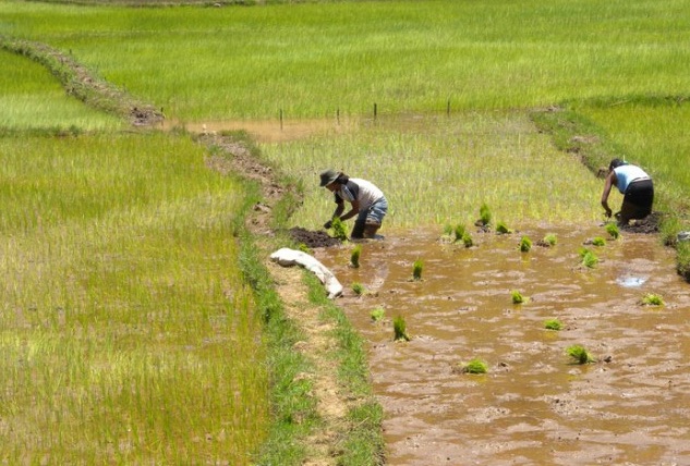 THAILANDIA PREZZI IN SALITA