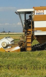 img-20161007-wa0001