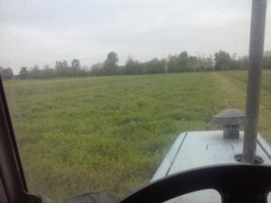 veccia-28-apr-16-foto-4