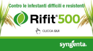 Rifit 500_336x185