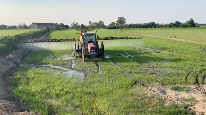 «LA REVISIONE DEL PAN NON CI PIACE»