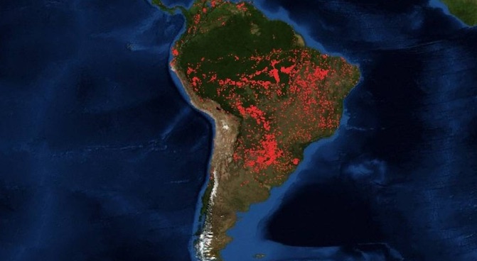 PER CHI BRUCIA L’AMAZZONIA?