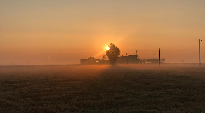 L’ENTE RISI METTE IL RACCOLTO SOTTO LA LENTE