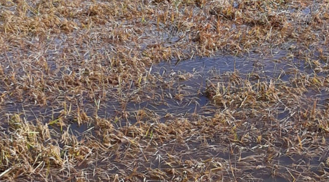 ALLUVIONE 2020, DOMANDE ENTRO IL 10 GIUGNO