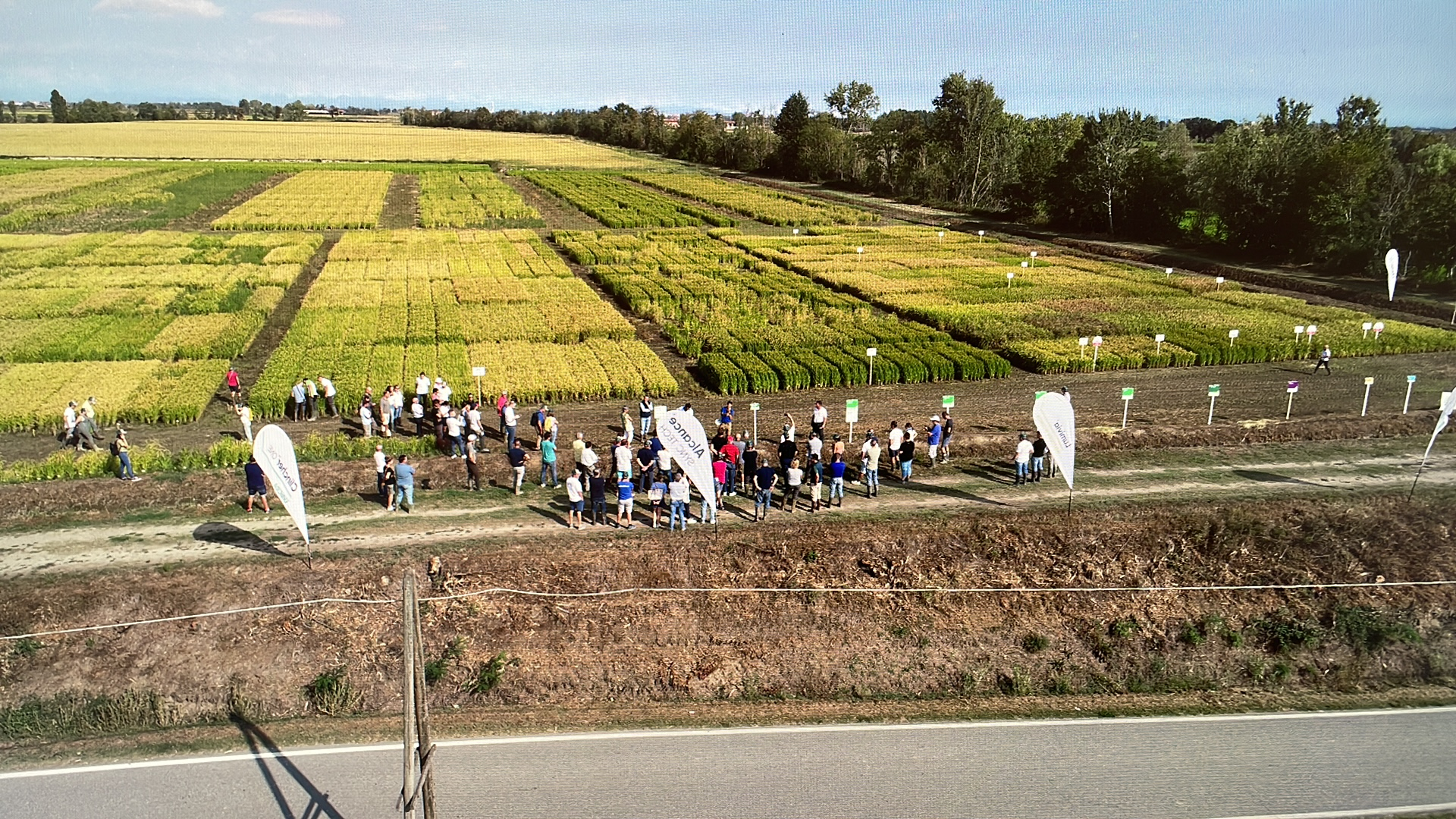 OPEN DAY IRES 2021
