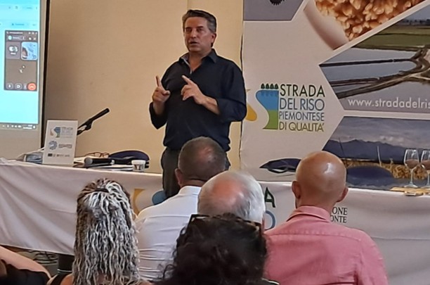 La Strade del riso
