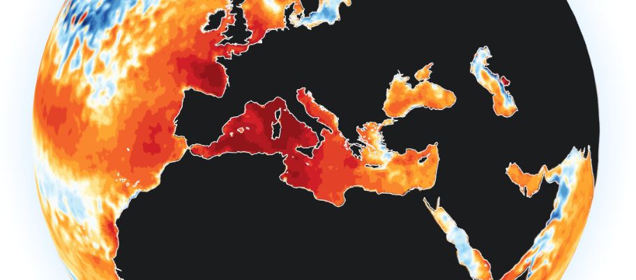 anomalia mare mediterraneo