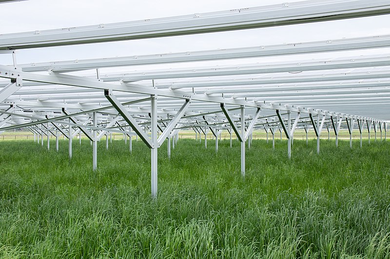 Agrifotovoltaico