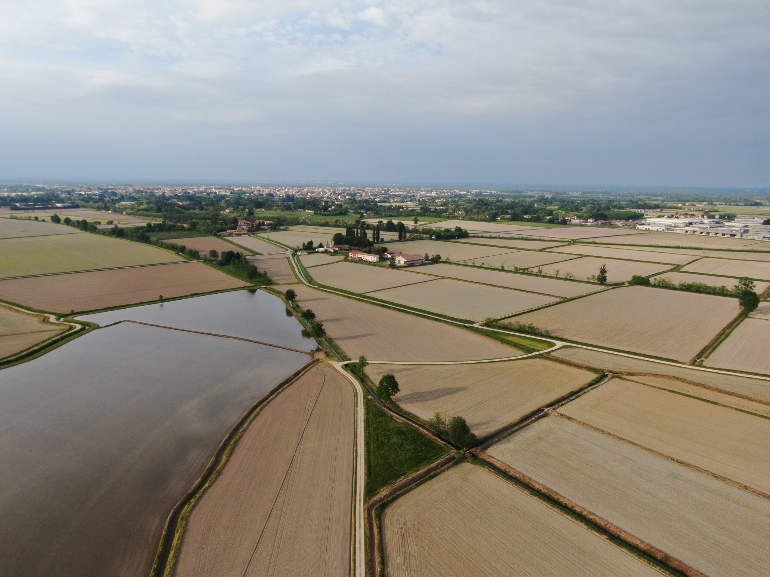 foto aerea_risaie Lomellina_Giotto Droni