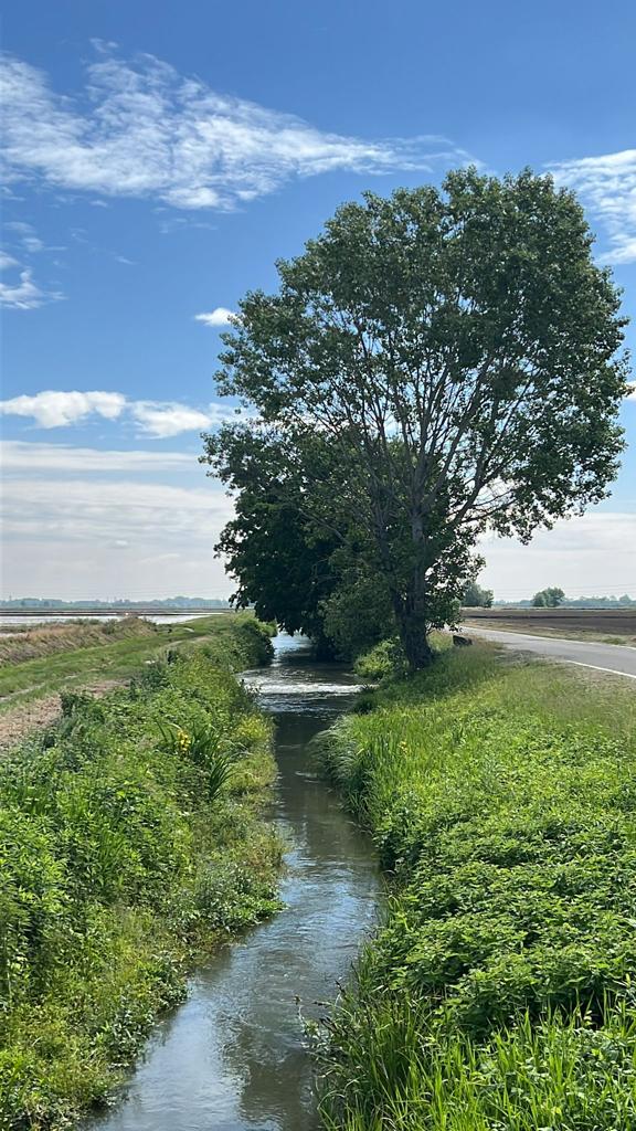 irrigazione
