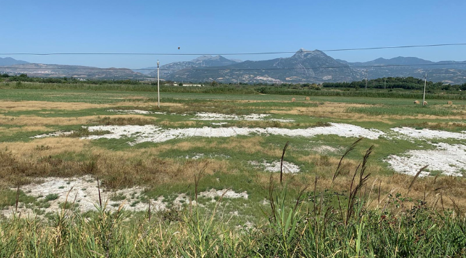 Sale Piana di Sibari