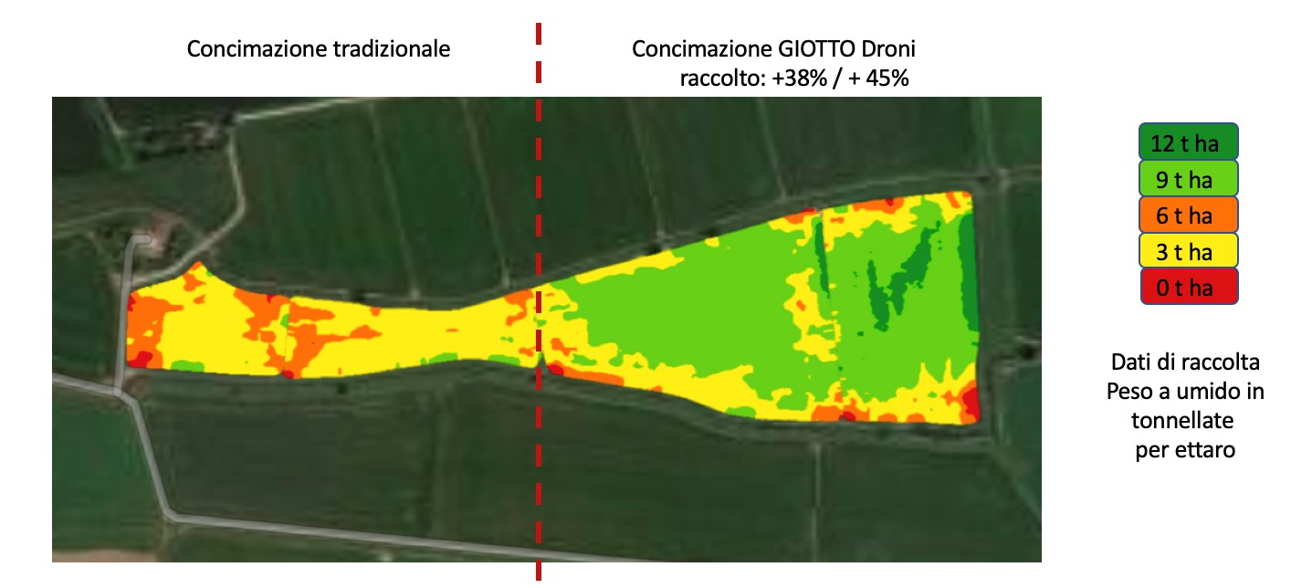 concimazione