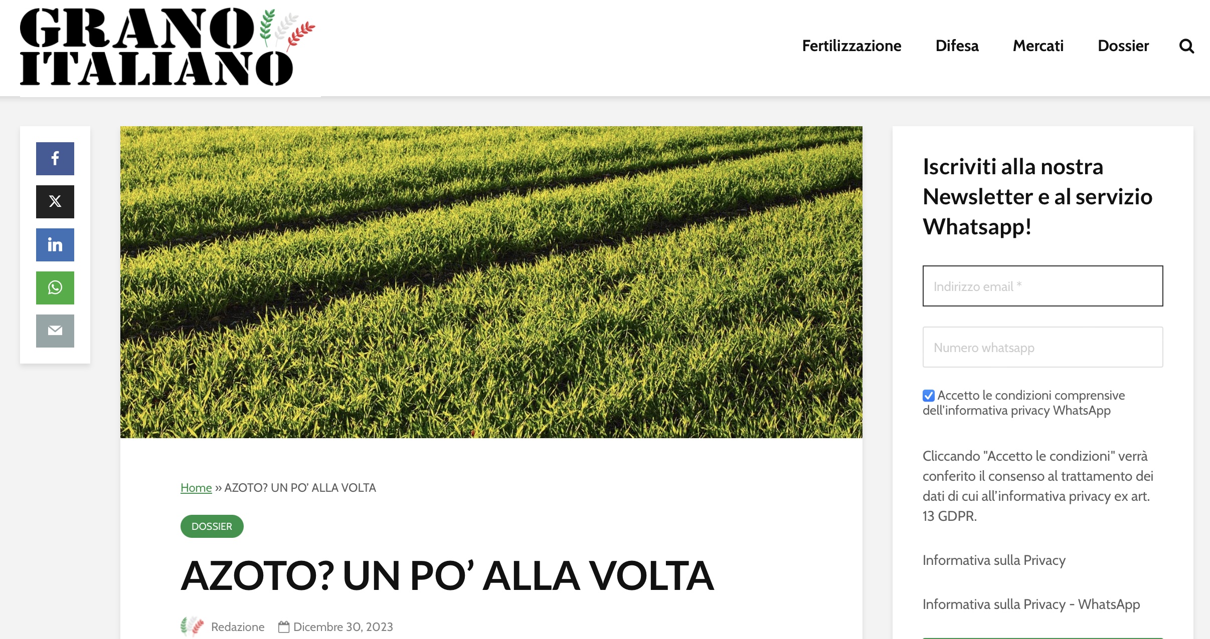 granoitaliano